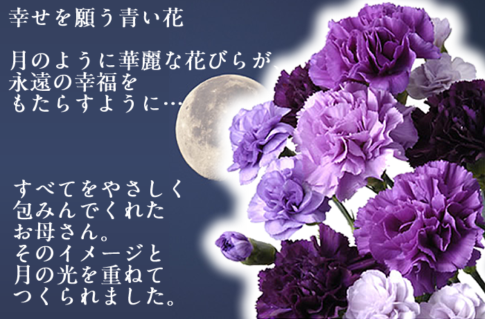紫カーネーション ムーンダストなら神戸の老舗フラワーショップ フタバ園本店におまかせ